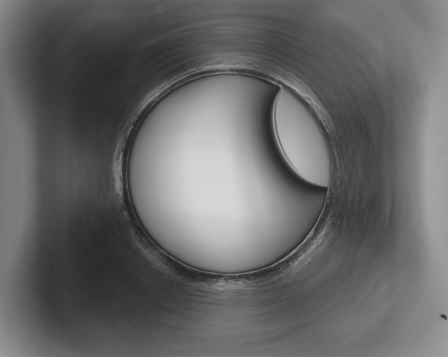 X0000102540842200808081048