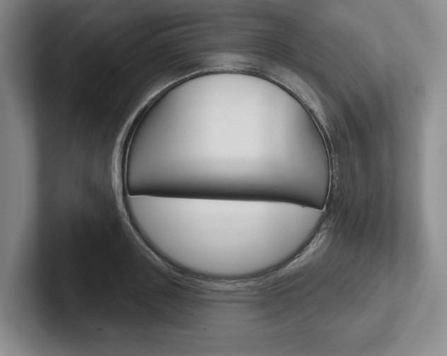 X0000102540843200808081048