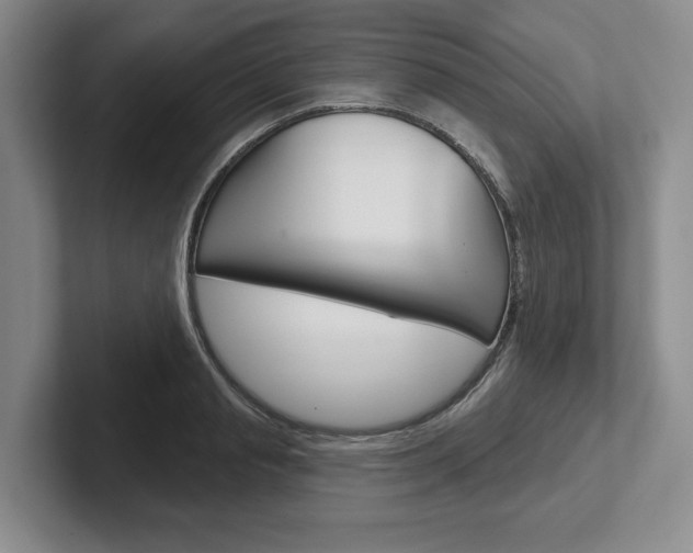 X0000102540845200808081048