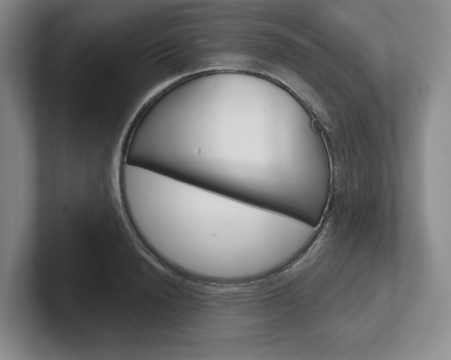 X0000102540846200808081048