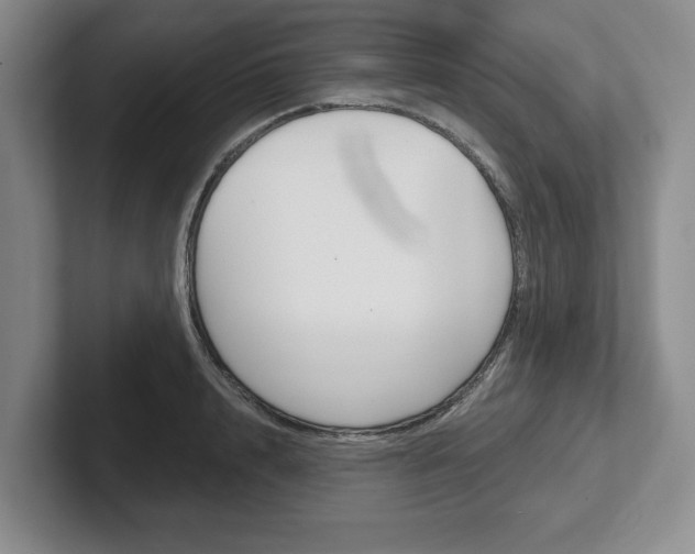 X0000102540848200808081048