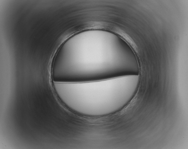 X0000102540850200808081048
