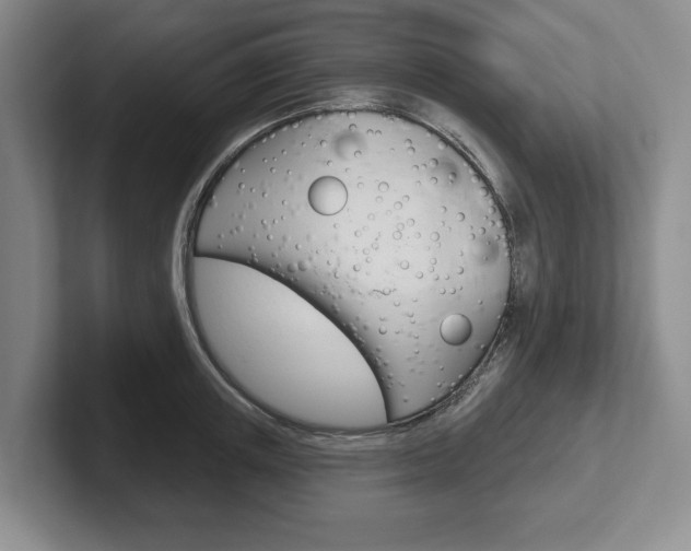 X0000102540851200808081048
