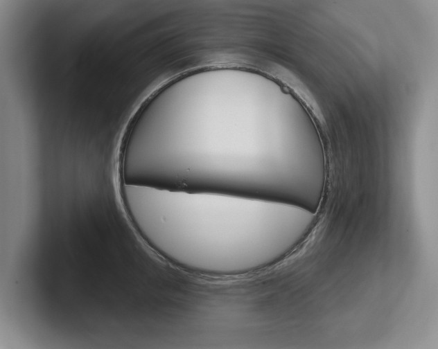 X0000102540853200808081048