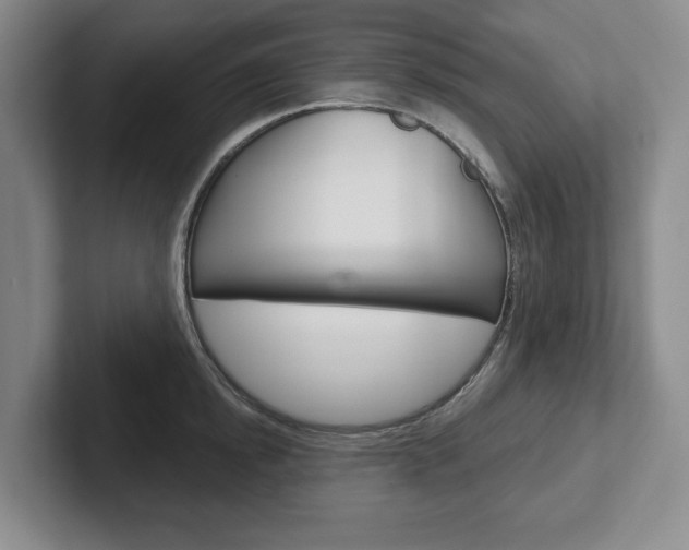 X0000102540854200808081048