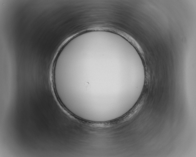 X0000102540855200808081048