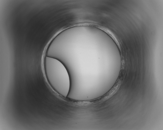X0000102540859200808081048