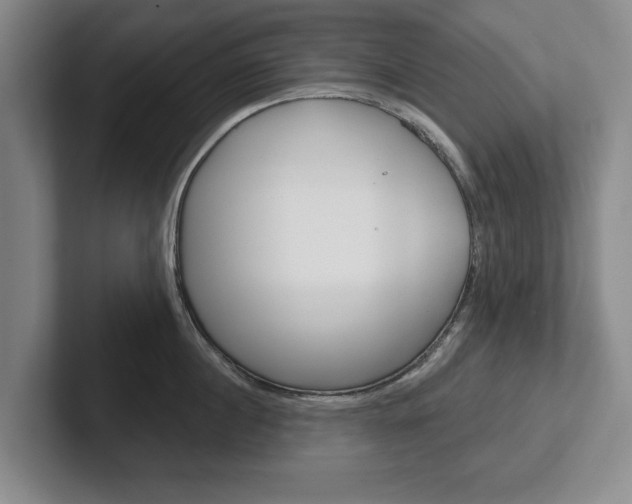 X0000102540860200808081048