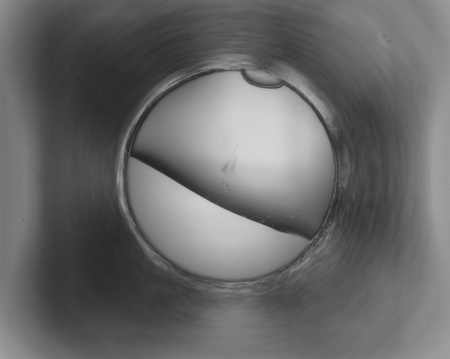 X0000102540861200808081048