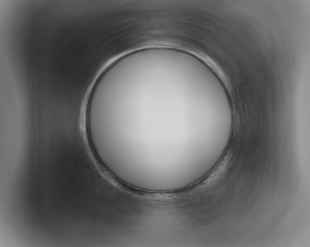 X0000102540862200808081048