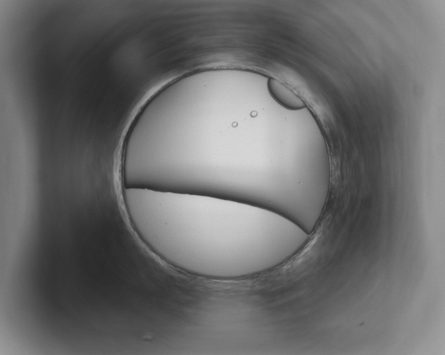 X0000102540863200808081048