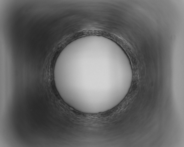 X0000102540870200808081048