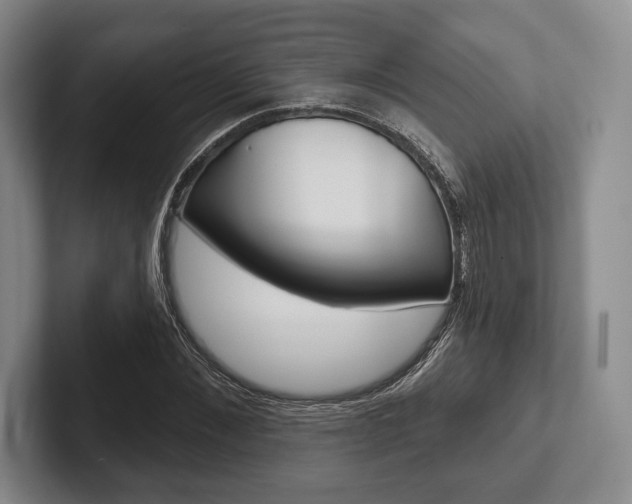 X0000102540876200808081048