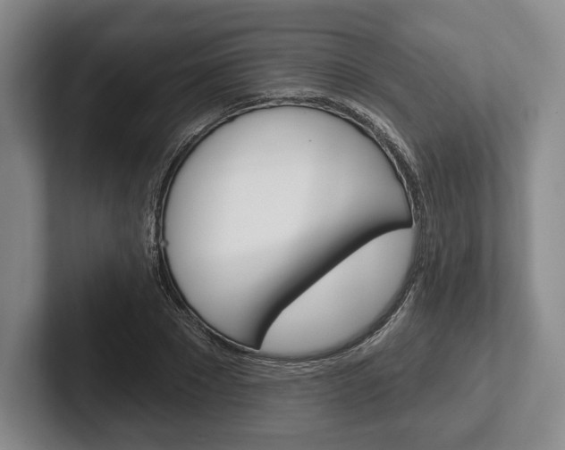 X0000102540881200808081048