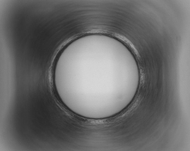 X0000102540882200808081048