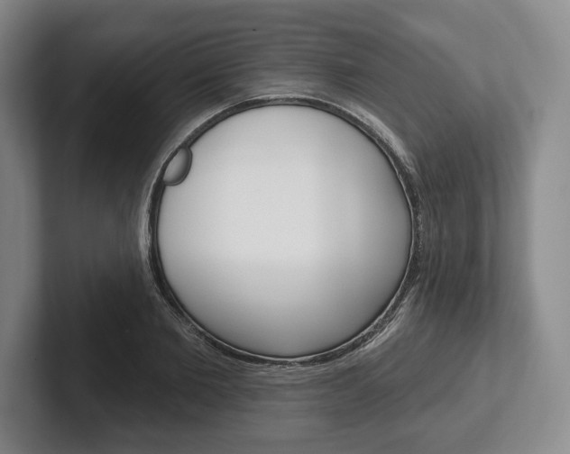 X0000102540885200808081048