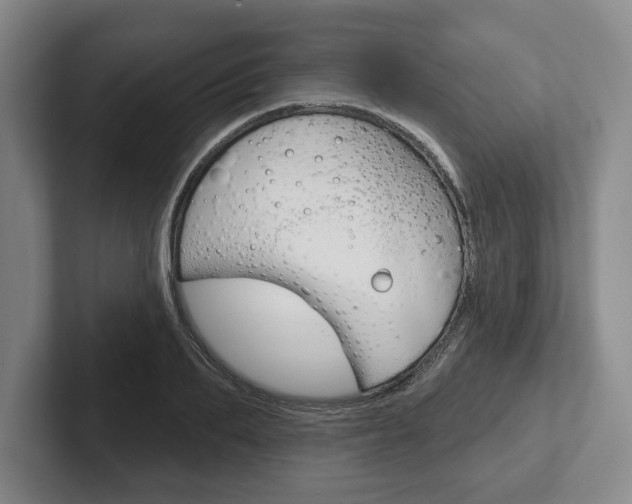 X0000102540887200808081048