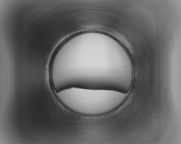 X0000102540888200808081048
