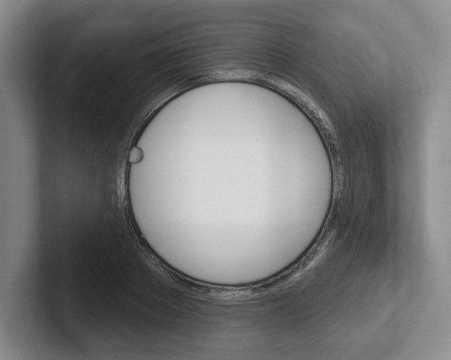X0000102540889200808081048