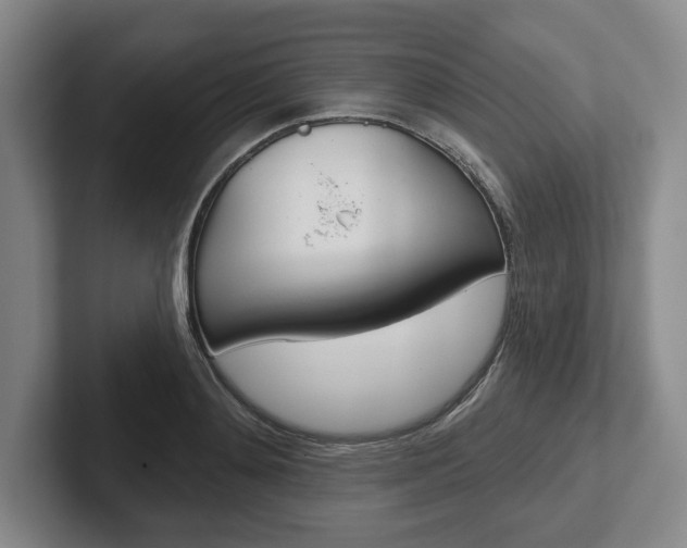 X0000102540892200808081047