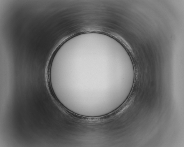 X0000102540893200808081047