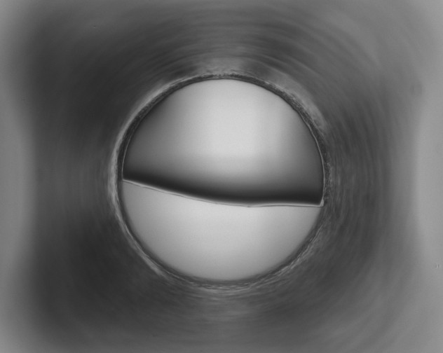 X0000102540894200808081047