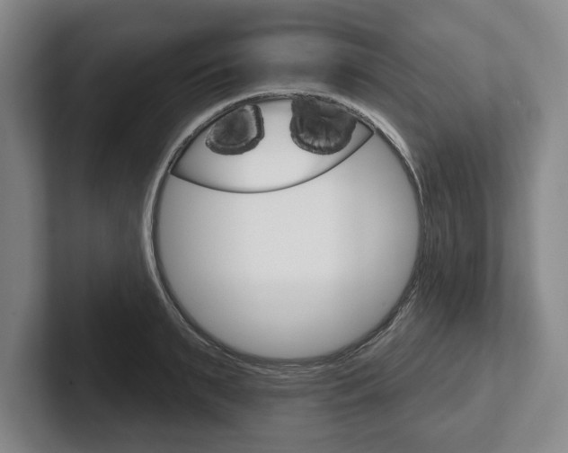X0000102540895200808081047