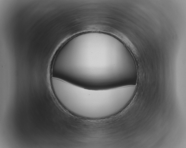 X0000102540896200808081047