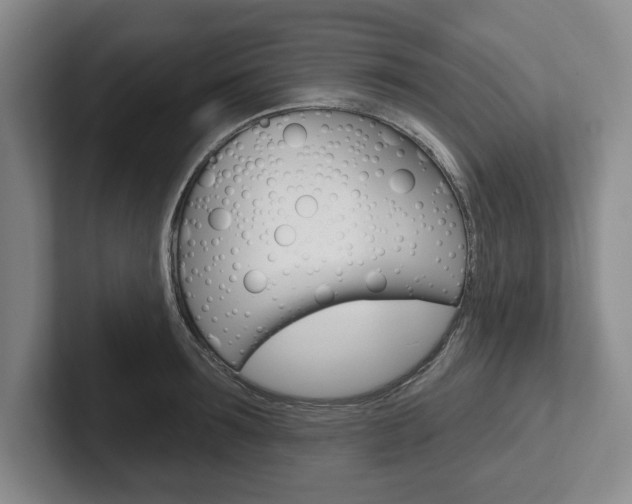 X0000102540899200808081047