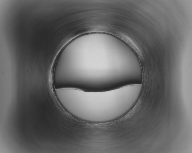 X0000102540900200808081047