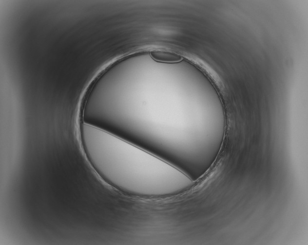 X0000102540902200808081047
