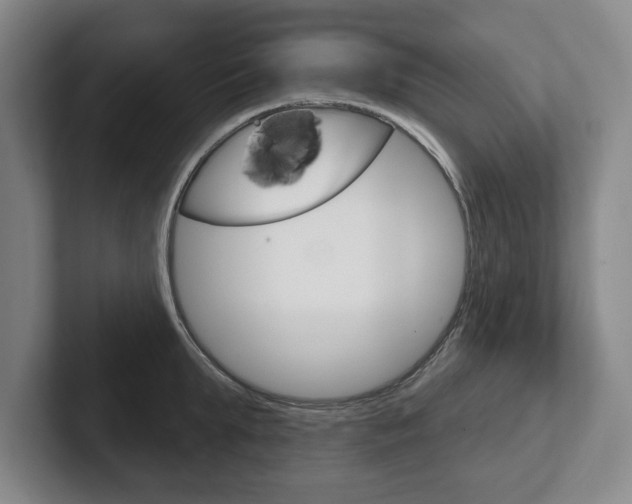 X0000102540903200808081047