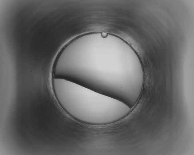 X0000102540904200808081047