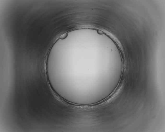 X0000102540905200808081047