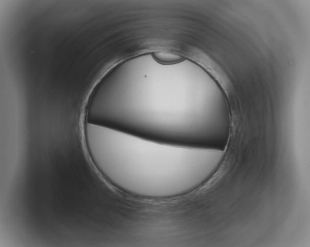 X0000102540906200808081047