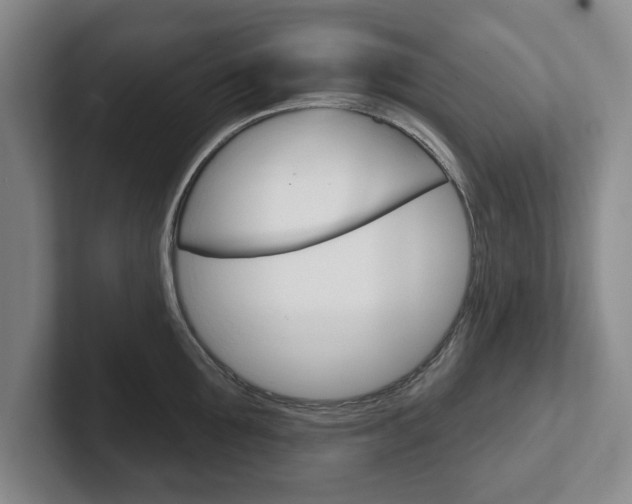 X0000102540907200808081047