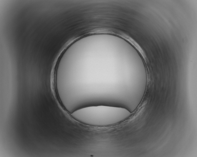 X0000102540909200808081047