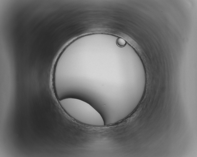 X0000102540912200808081047