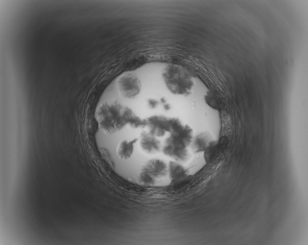 X0000102540913200808081047