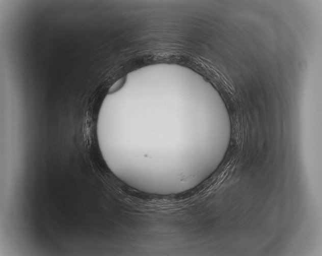 X0000102540914200808081047