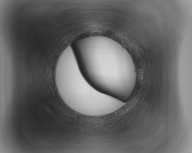 X0000102540916200808081047