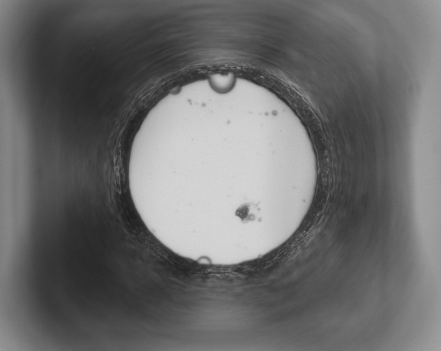 X0000102540918200808081047