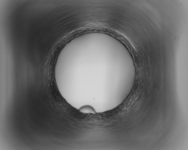X0000102540919200808081047