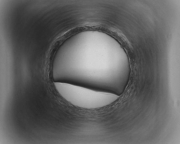 X0000102540920200808081047