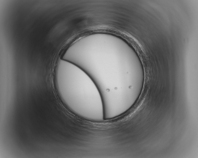 X0000102540921200808081047