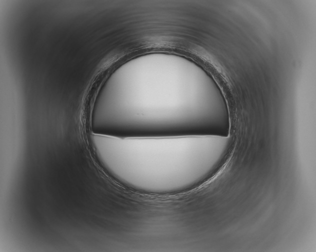 X0000102540922200808081047