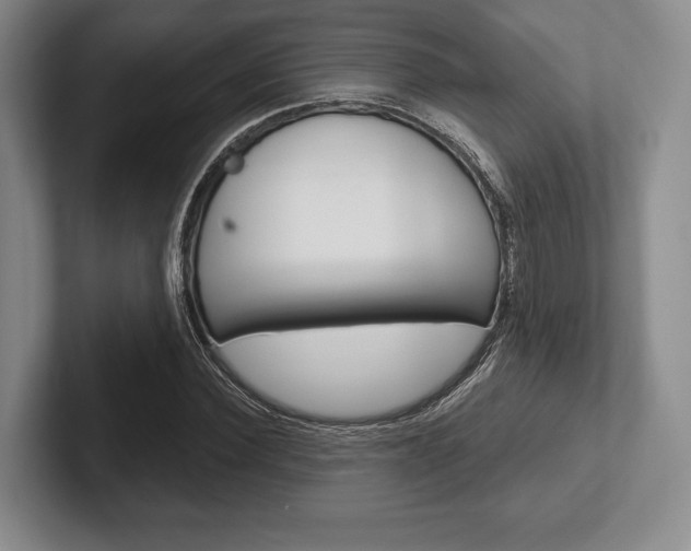 X0000102540924200808081047