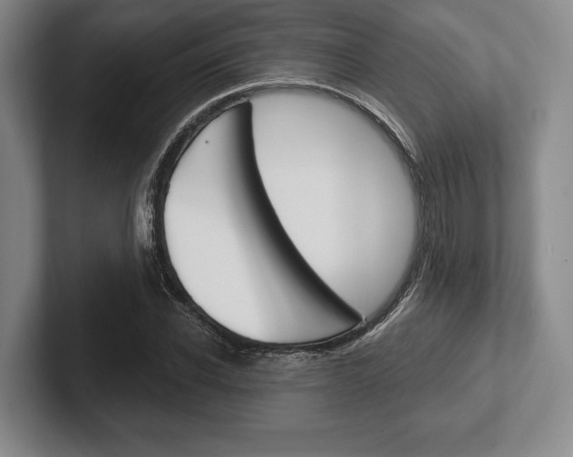 X0000102540926200808081047