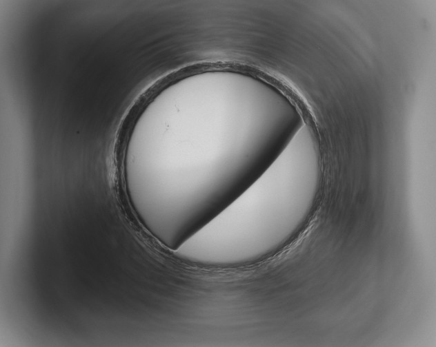 X0000102540927200808081047