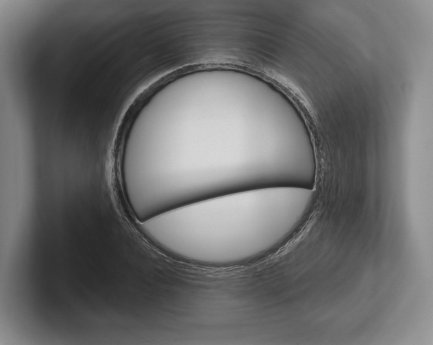X0000102540928200808081047